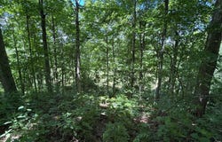 State Rd 101 W Bull Hill Rd, Liberty, IN 47353