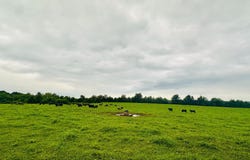 22308 GERMANNA HWY, STEVENSBURG, VA 22741