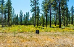 52 WALLACE LN, Blanchard, ID 83804