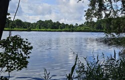 Wl33 E Waterway Drive (Wl33), Belhaven, NC 27810