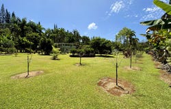29-3707 KANNA ROAD, Hakalau, HI 96710