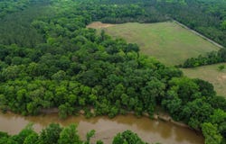0 Hwy 29, Marion Junction, AL 36759