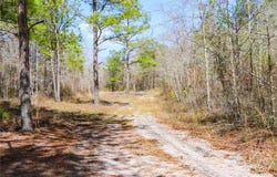 Tillman Eason Road, Claxton, GA 30417