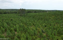 County Road 428, Paris, MS 38949