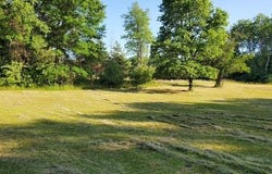 1711 14 Mile Road, Marion, MI 49665