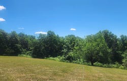 Mississippi Lane Road, Bagley, WI 53801