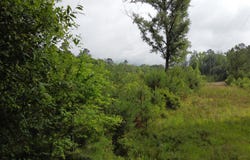 126 Batten Way, Ridgeville, SC 29472