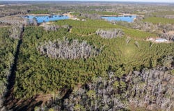 CR 136A, Live Oak, FL 32060