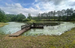1340  Georgiana Highway, Brantley, AL 36009