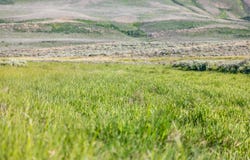 000 Milky Way Rd, Kemmerer, WY 83101