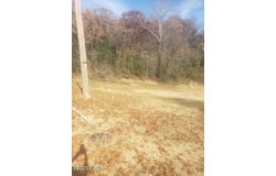 413 Beaver Circle Drive, Anderson, MO 64831
