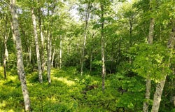 C7 Snowcrest Drive, Glenville, NC 28736