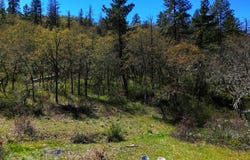 Kestrel Rd, Lyle, WA 98635