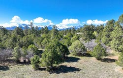 1015 Marmot Drive, Ridgway, CO 81432