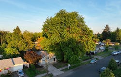 2450 Eddy AVE, Salem, OR 97301