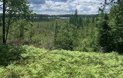 1899 AMIK LAKE LN, Lac du Flambeau, WI 54538