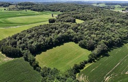 40 acres South, Dellona, WI 53959