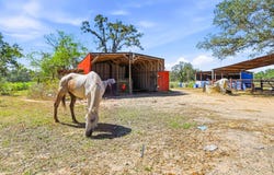 3001 Curry Rd, Seguin, TX 78155