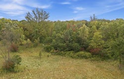 130th Avenue, Milaca, MN 56363