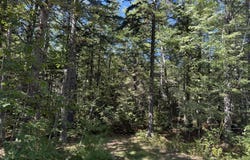 M-9,L-54C Back Shore Road, Bristol, ME 04539