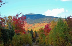 Taylor Woods Road lot: B, Temple, ME 04984