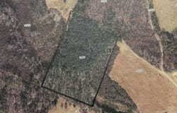 7.42 AC Cole Lane, Scottsburg, VA 24589