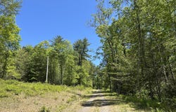 TALLMAN HOLLOW ROAD, Montoursville, PA 17754