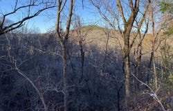 7897 Trace Ridge Road, Leslie, AR 72645
