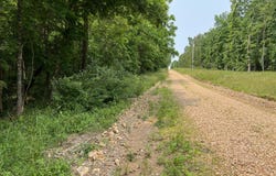 Lots 7 & 8 County Road 206, Alton, MO 65606