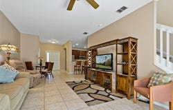 20117 INDIAN ROSEWOOD DRIVE, TAMPA, FL 33647