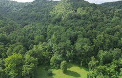 27 Paint Creek Road, Hansford, WV 25103
