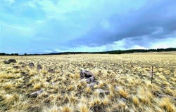 4795 County Road 71, Guffey, CO 80820