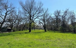 740 E Waco Avenue, Cooper, TX 75432