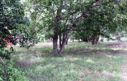 00 Laredo ST, Lockhart, TX 78644