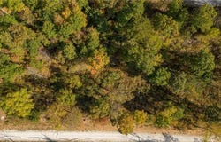 Lot 8 Peaceful  PL, Harrison, AR 72601