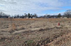 7 Acres Spargo Dr, Walnut Ridge, AR 72476