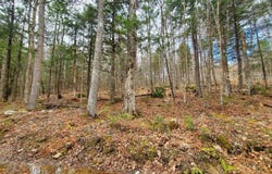 0 Sandy Beach Road, Danforth, ME 04424