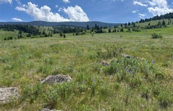 Rendezvous Trail, Livingston, MT 59047