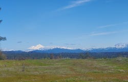 3.97 Acres Renshaw Lane, Anderson, CA 96007