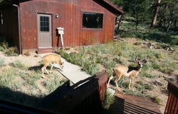 231 Modoc Ct, Red Feather Lakes, CO 80545