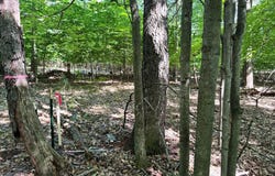 00 W Adams Road, Pentwater, MI 49449