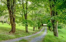 2456 County Route 9, East Chatham, NY 12060