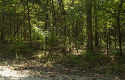 1505 Blackbird Lane, Horseshoe Bend, AR 72512