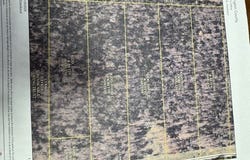 14287 N Wedington Blacktop Road lot: 0, Lincoln, AR 72744