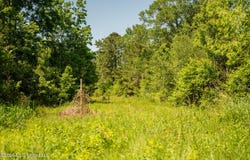 1311 N Jackson Street, Brookhaven, MS 39601