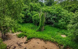 4359 Riverside Road, Cuba, MO 65453