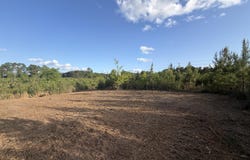 9 Acres HWY 48 E, Sandy Hook, MS 39478
