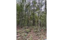 OAKLAND AVENUE lot: 0, WILSONVILLE, AL 35186
