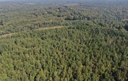 Dulaney Road, Fulton, MS 38843