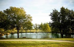 4307 Blackberry Lane, Oak Point, TX 75068